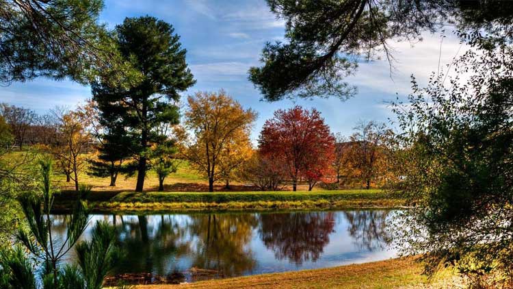 Seven-Ponds-Farm.jpg